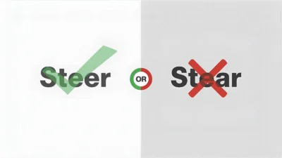 Steer or Stear