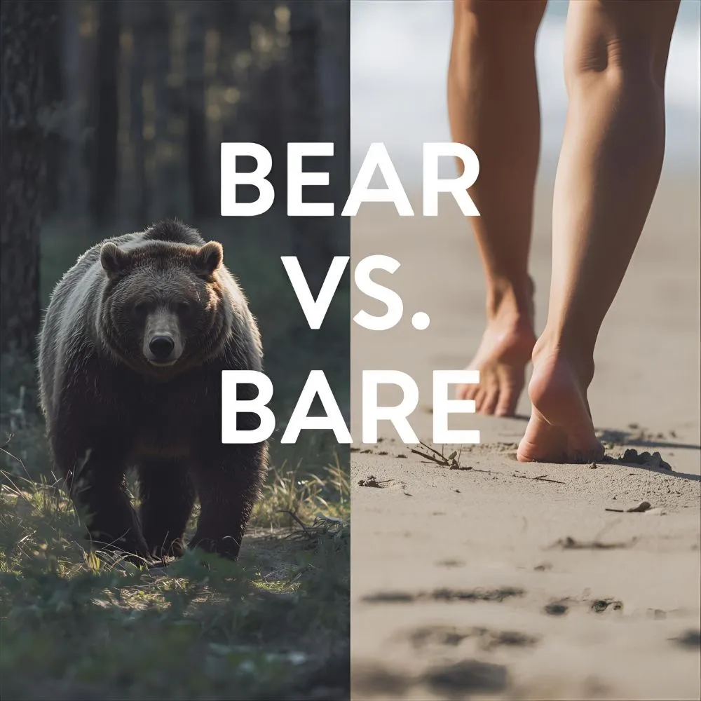 Bear or Bare – Quick Answer
